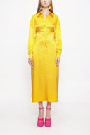 Mustard Fitted waist shirt dress 93993