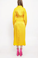 Mustard Fitted waist shirt dress 93993